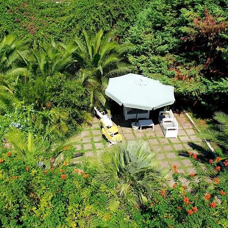 B&B Il Giardino Di Villa Anna Trecase Ngoại thất bức ảnh