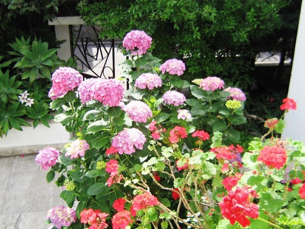 B&B Il Giardino Di Villa Anna Trecase Ngoại thất bức ảnh