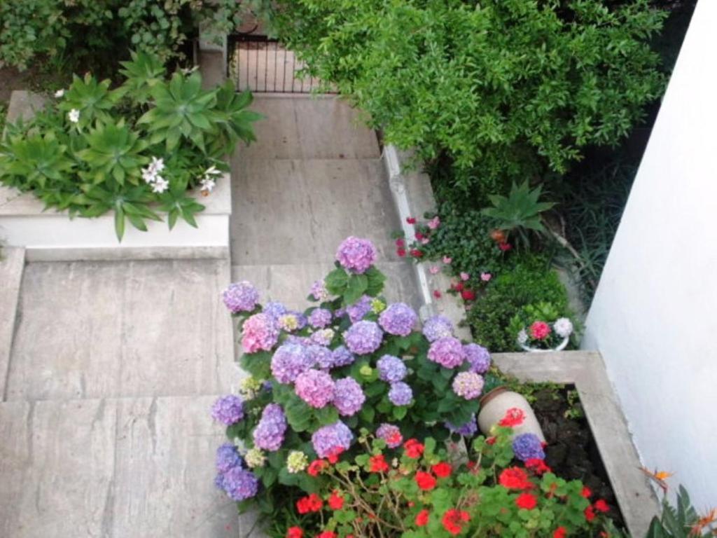 B&B Il Giardino Di Villa Anna Trecase Ngoại thất bức ảnh