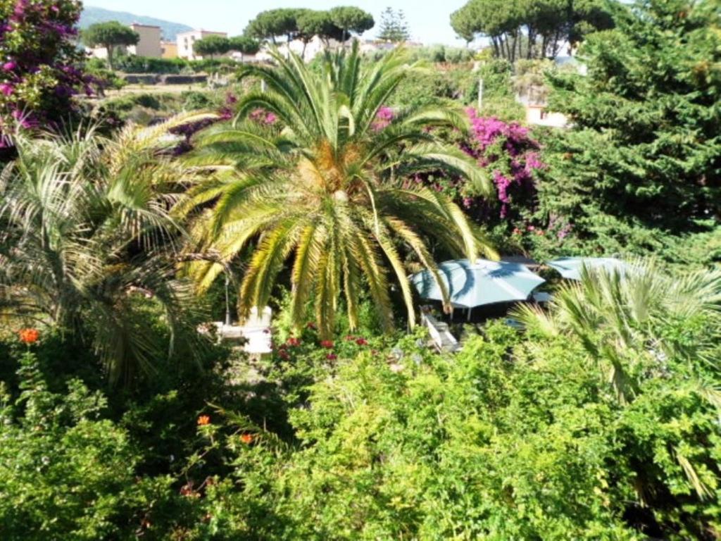 B&B Il Giardino Di Villa Anna Trecase Ngoại thất bức ảnh