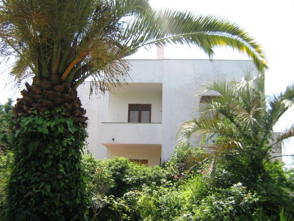 B&B Il Giardino Di Villa Anna Trecase Ngoại thất bức ảnh