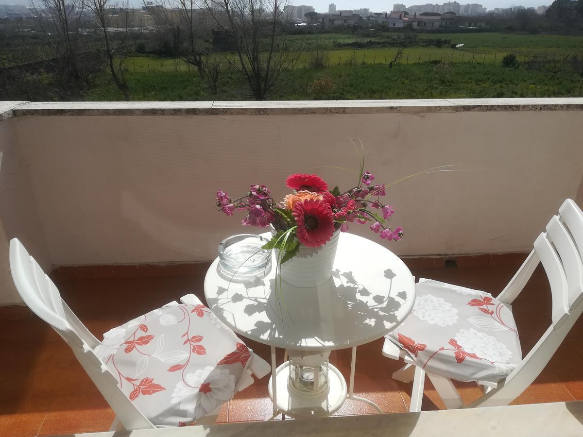 B&B Il Giardino Di Villa Anna Trecase Ngoại thất bức ảnh