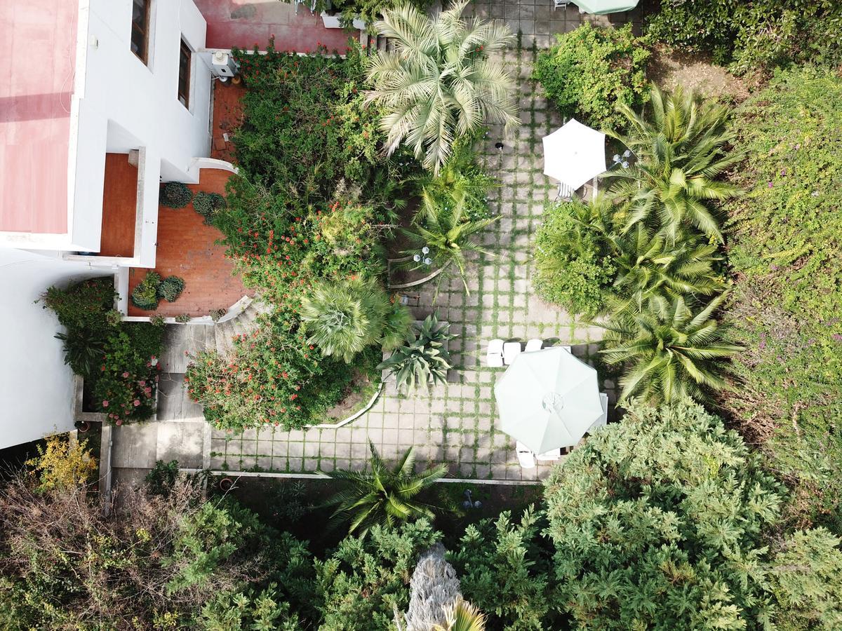 B&B Il Giardino Di Villa Anna Trecase Ngoại thất bức ảnh