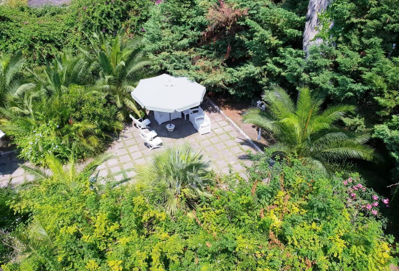 B&B Il Giardino Di Villa Anna Trecase Ngoại thất bức ảnh