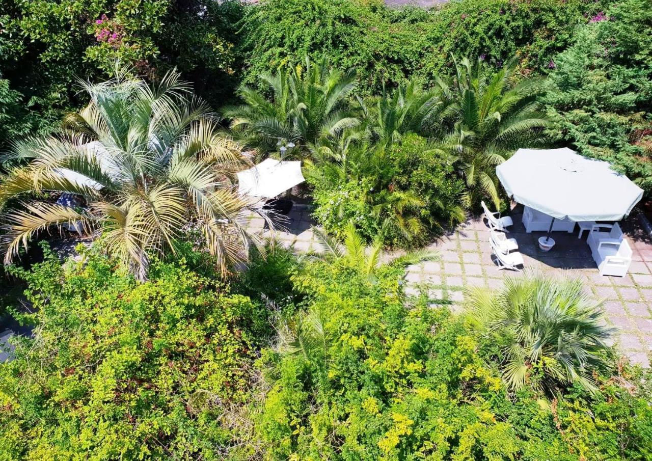 B&B Il Giardino Di Villa Anna Trecase Ngoại thất bức ảnh