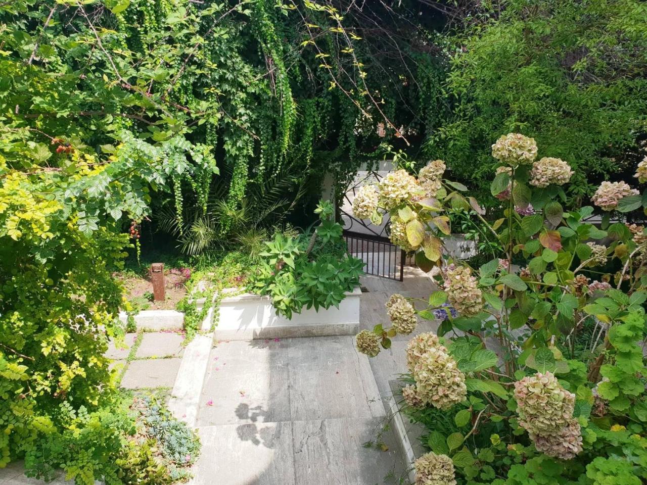 B&B Il Giardino Di Villa Anna Trecase Ngoại thất bức ảnh