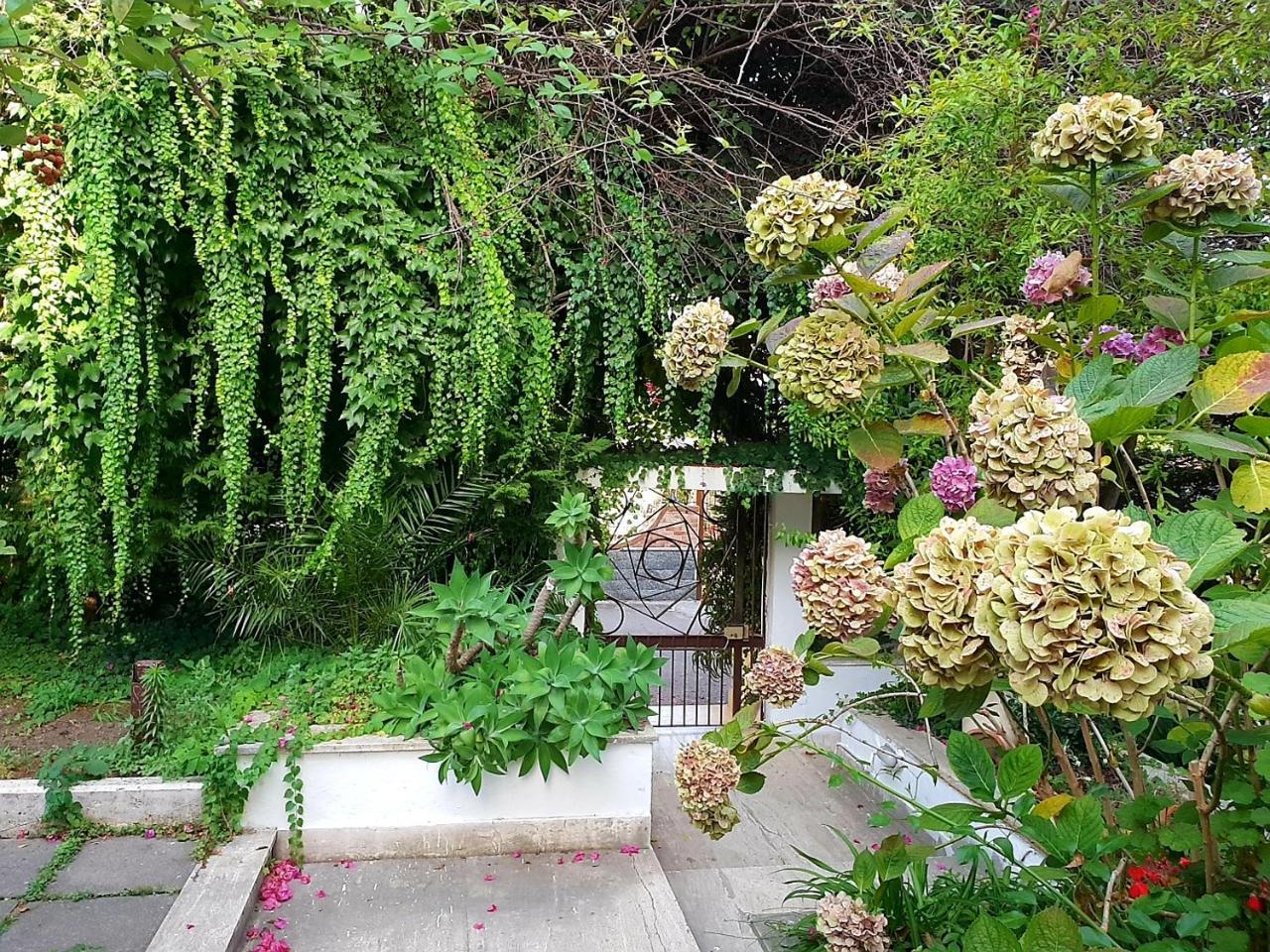 B&B Il Giardino Di Villa Anna Trecase Ngoại thất bức ảnh