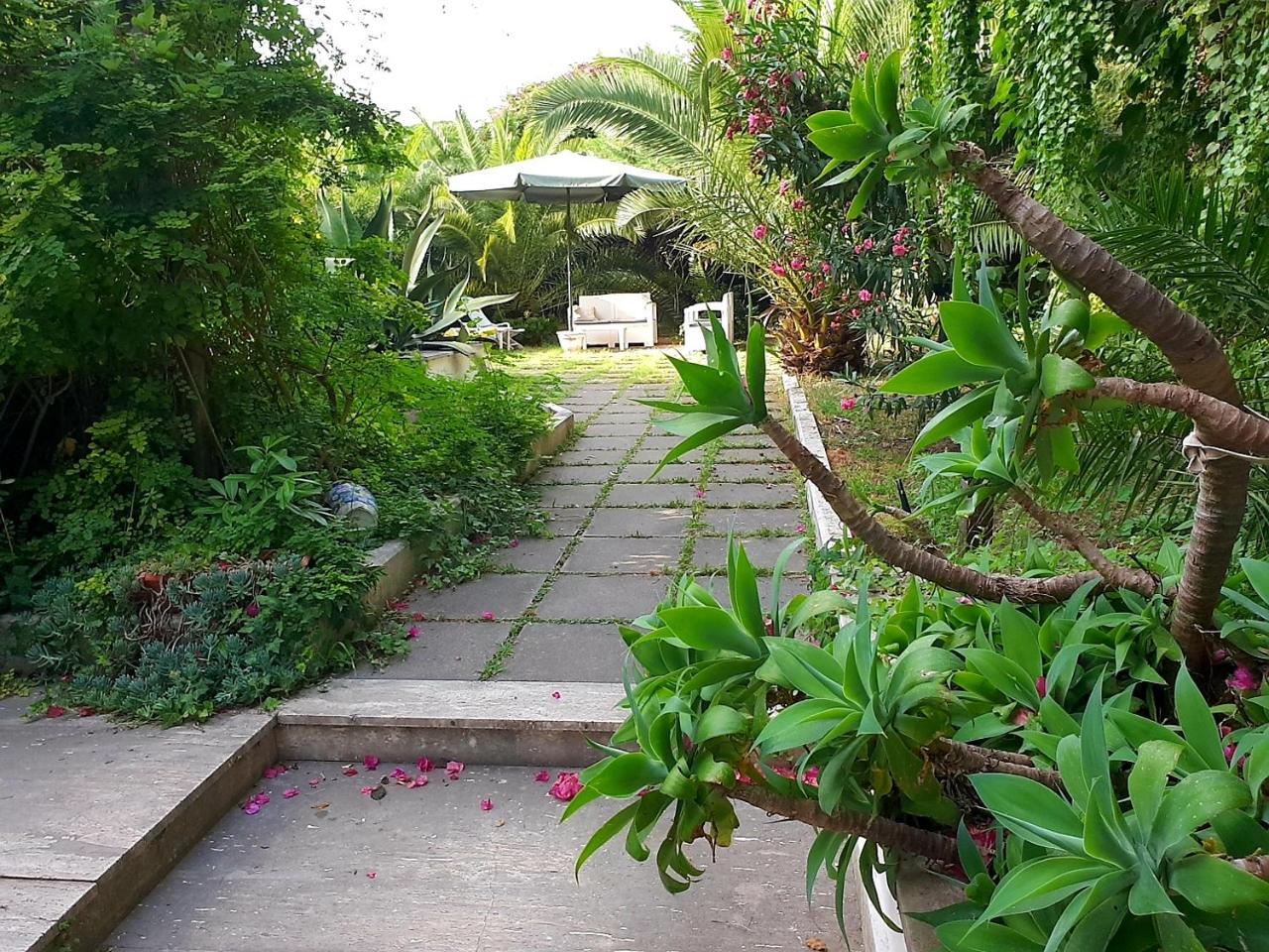 B&B Il Giardino Di Villa Anna Trecase Ngoại thất bức ảnh