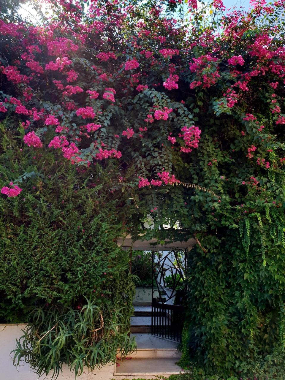 B&B Il Giardino Di Villa Anna Trecase Ngoại thất bức ảnh