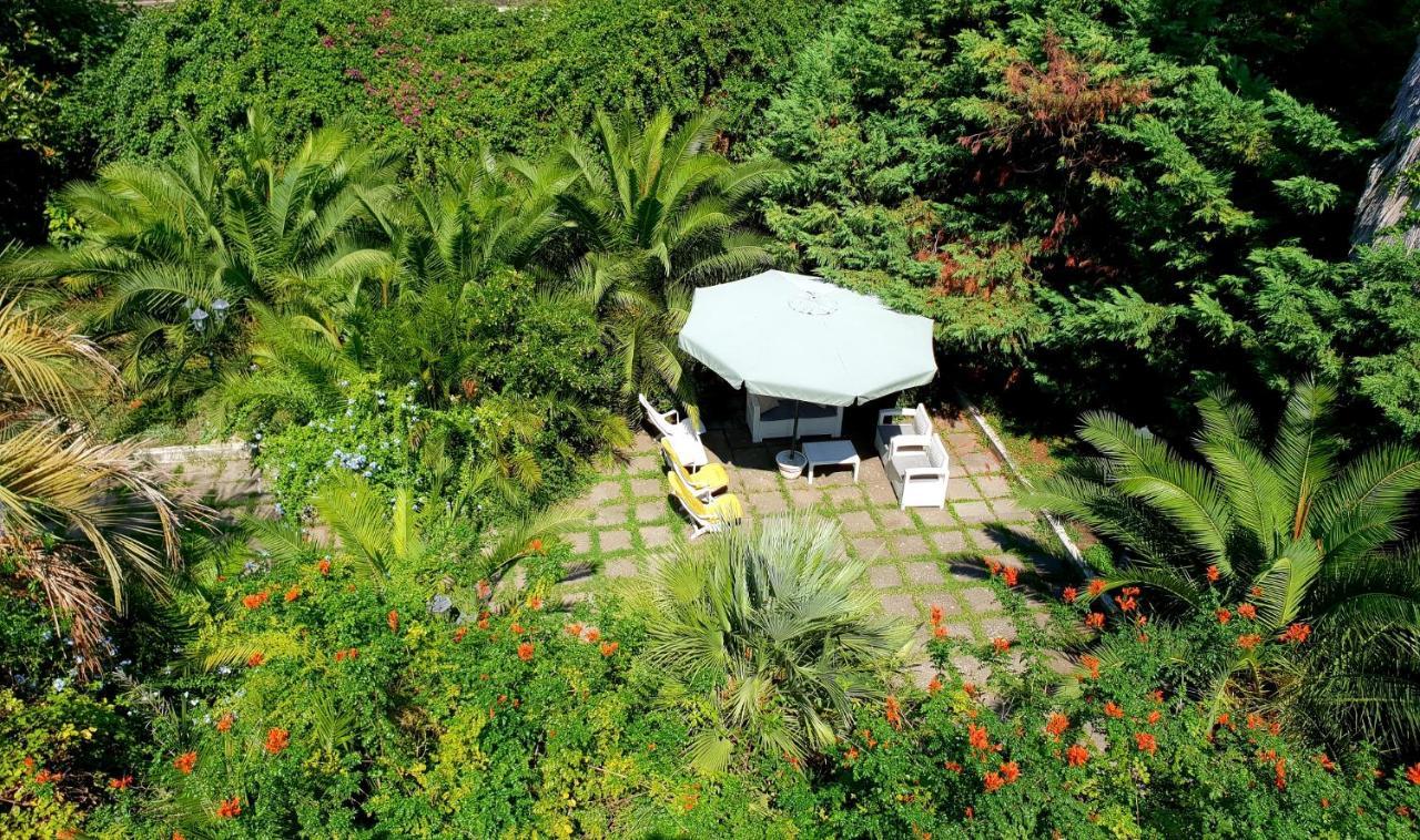 B&B Il Giardino Di Villa Anna Trecase Ngoại thất bức ảnh