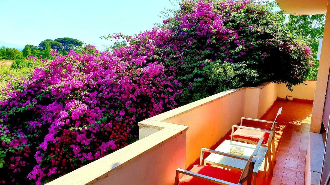 B&B Il Giardino Di Villa Anna Trecase Ngoại thất bức ảnh